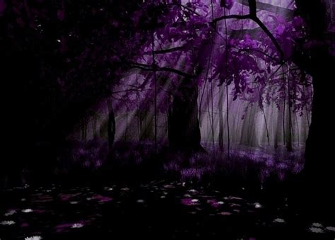 34 Best Purple Forest Images On Pinterest Forests Woodland Forest