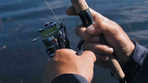 Daiwa Exist Spinning Reel Review Bass N Edge