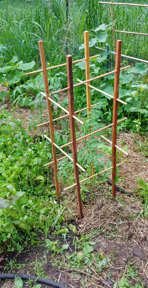 Tomato Cage Sturdy Elegant Easy Assembly And Storage Etsy In 2020