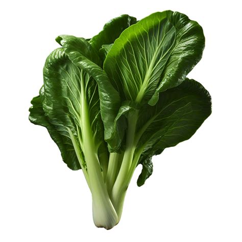 Ai Generated Bok Choy Png Isolated On Transparent Background 35647642 Png