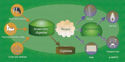 Biogas Production Organic Waste To Energy Envitech International