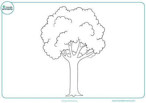 Pero ( haber ) algo en ella que no me ( gustar ) un pelo. Dibujos de Árboles para Colear Otoño, Secos, Navidad