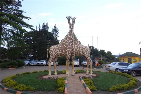 Uganda Wildlife Education Center And Botanical Gardens