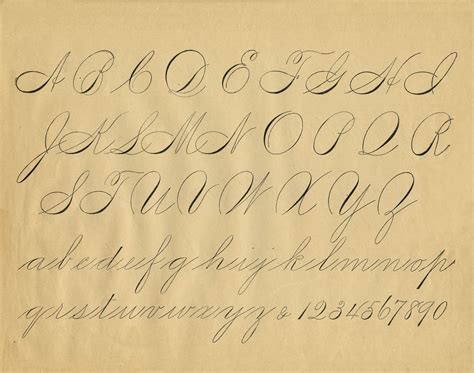 Vintage Calligraphy Alphabet