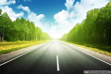Road In Summer Forest Photos And Wallpapers Elsoar