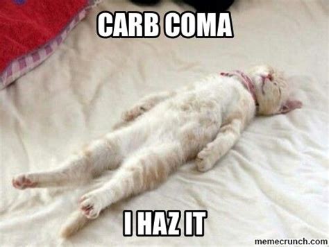 Carb Coma Cat Sleeping Positions Cat Sleeping Sleep Funny