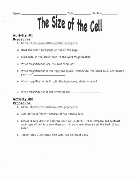 Free Printable Fifth Grade Science Worksheets Printable Worksheets