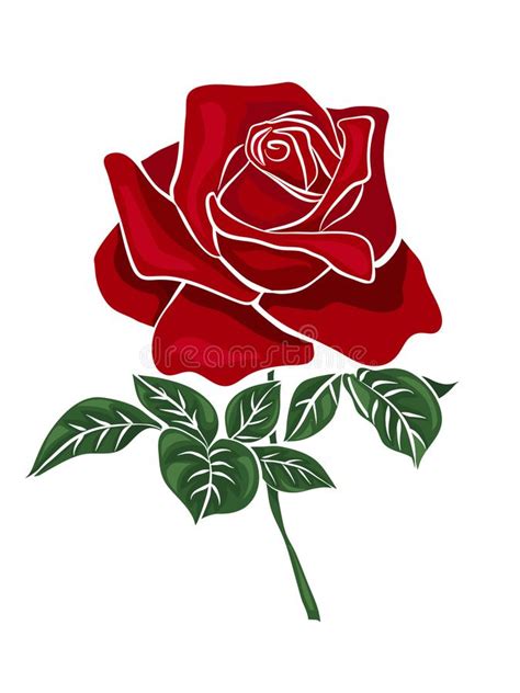 Single Red Rose Stock Vector Illustration Of Blossom 115224550