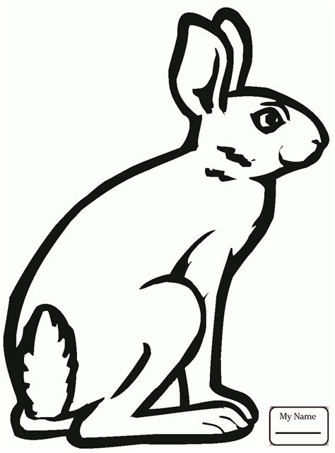 Large numbers of birds, grazing mammals, reptiles, insects and predators live throughout the grasslands of the world. Jack Rabbit Drawing at GetDrawings | Free download