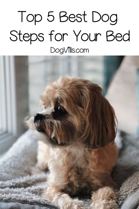 Whether You Have A Senior Dog With Mobility Issues Or A Short Little