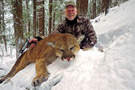 Best States For Mountain Lion Hunting Petersens Hunting