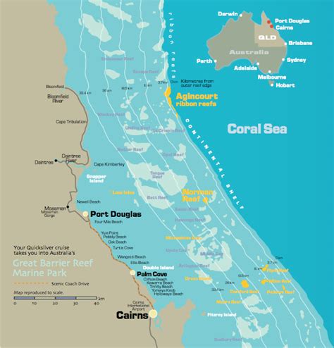 Great Barrier Reef Tours Cairns Discovery Tours