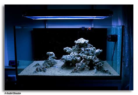 Tips And Tricks On Creating Amazing Aquascapes Reef2reef Saltwater