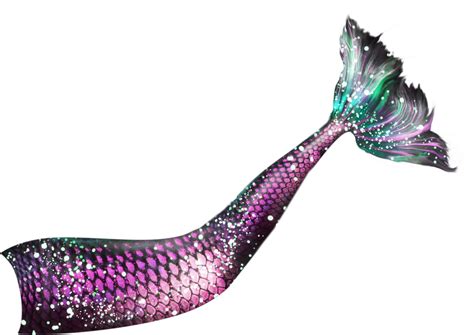 Mermaid Tail 14 Png Photo 512 Free Png Download Image Png Archive