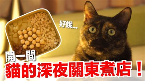 【好味小姐】開一間貓的深夜關東煮店！｜貓副食｜貓鮮食廚房ep204 Youtube