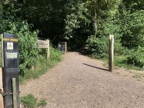 Dorchester Walk Of The Week Shaded Stroll Through Thorncombe Woods