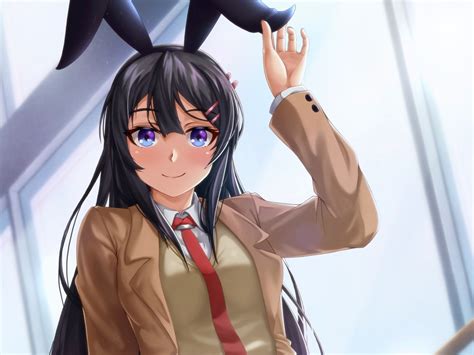 Download Mai Sakurajima Anime Rascal Does Not Dream Of Bunny Girl