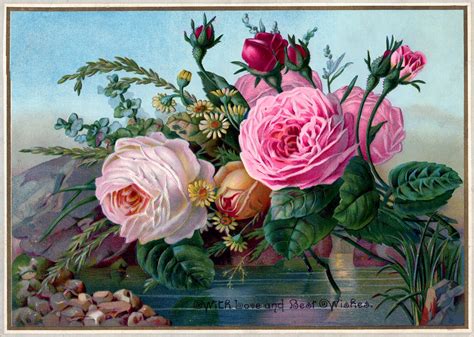 Download Public Domain Vintage Image Stunning Roses The Graphics