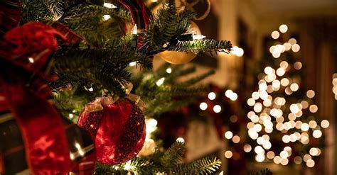 The Christmas Tree Its Origin Meaning And History