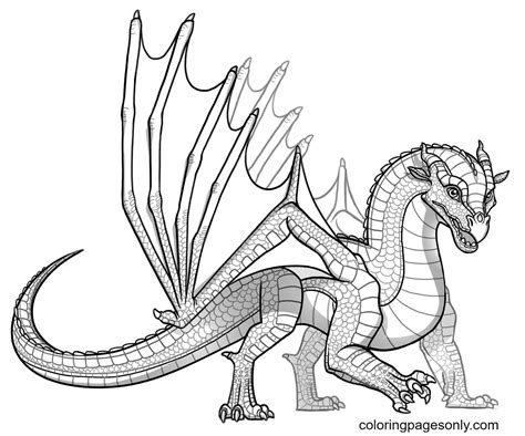 Baby Skywing Dragon Coloring Page Free Printable Coloring Pages
