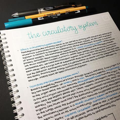 Neat Study Notes Neat Handwriting Neat Printing Studyjewel