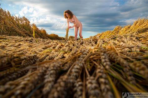 Nude Teen Girl Harvesting Wheat Crop Free Full HD Photo BonnyArt Com