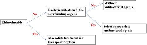 Treatment Algorithm For Prescribing Antibacterial Agents For Otitis