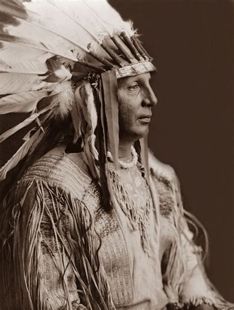 Indian Chief Nolan Dalla Native American Peoples Native American