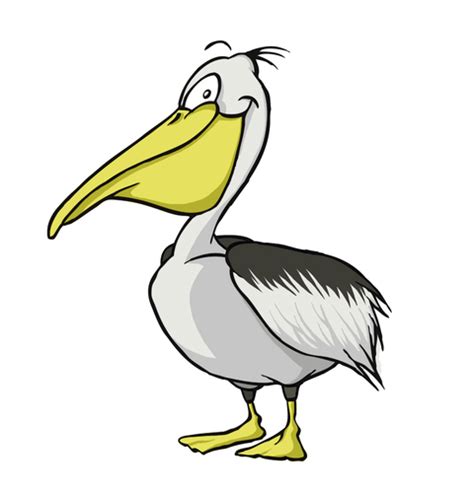Pelican By Grega Nature Cartoon Toonpool