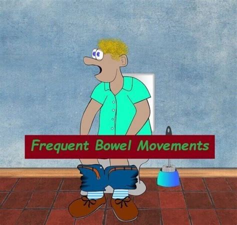 13 Causes Of Frequent Bowel Movements 2024