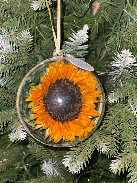 Sunflower Ornament Real Preserved Sunflower Etsy