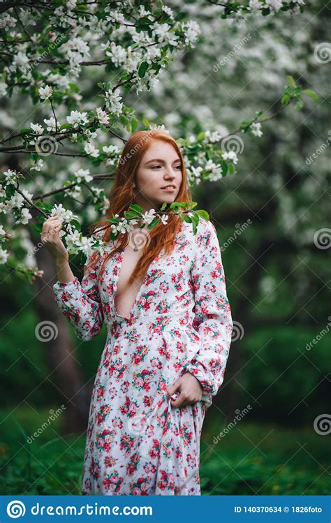 Beautiful Red Haired Girl In A White Dress Among Blossoming Apple Trees In The Garden Stock