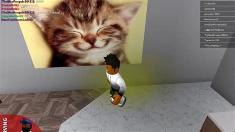 Id For Roblox Pictures In Bloxburg Cats