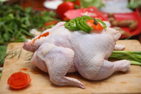 Frozen Whole Chicken Buy Frozen Whole Chicken In Niort France From Sabnego