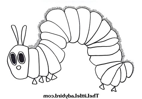 12 Hungry Caterpillar Coloring Page Updated Printable Nature