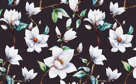 Magnolia Hd Wallpapers Wallpaper Cave