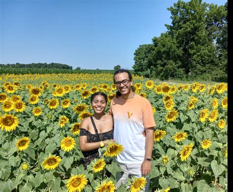 Sunflower Fields in PA | Sunflower Days | Hellerick's Family Farm