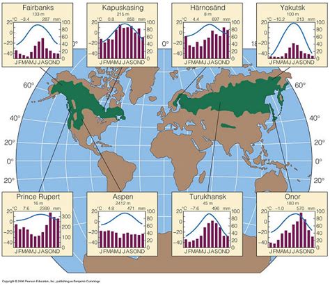 Taigas Climate Chart Taiga