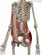 Images of Strengthen Core Muscles Back Pain