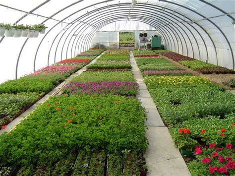 Horticulture Practices And The Therapy Follow Green Living