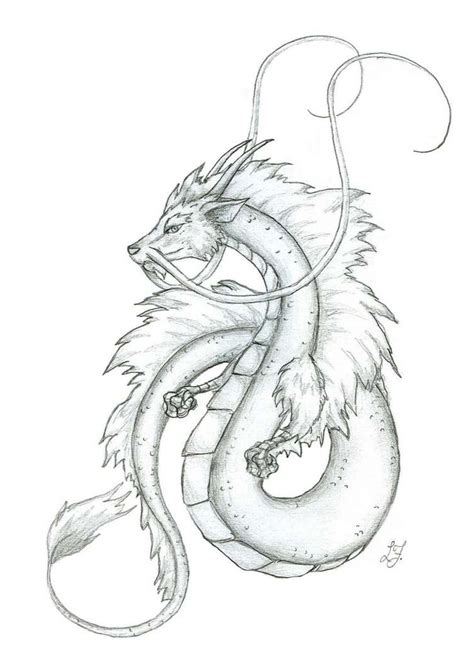 Japanese Dragon Drawings