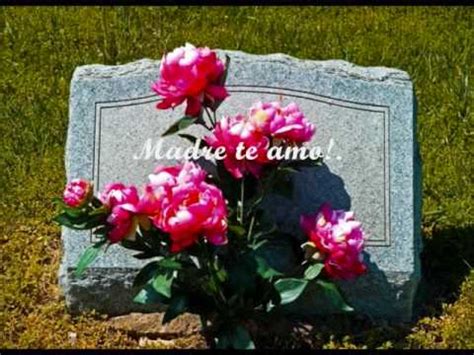 'poëzie' (poetry from historic authors), 'gedichten' (poems considered of poetic quality by the editors of the website), netgedichten (poems written and contributed by people with an account for the website) and 'hartenkreten' (poetic disclosures of emotions). Poema, Hoy te he traído flores - Poem, I have brought you ...