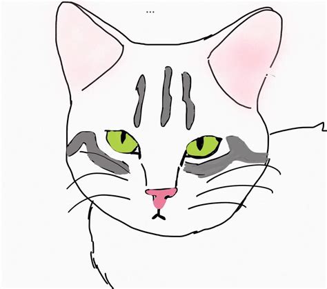 Como Desenhar Um Gato Facil