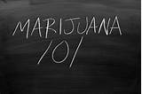 Marijuana Studies Images
