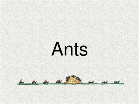 Ppt Ants Powerpoint Presentation Free Download Id1194893