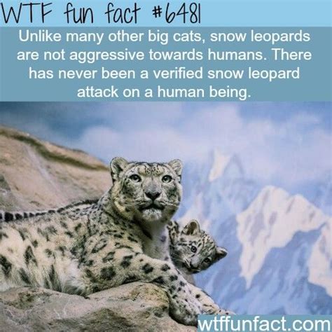 Pin By Victoria On Wtf Fun Facts Weird Facts Wtf Fun Facts