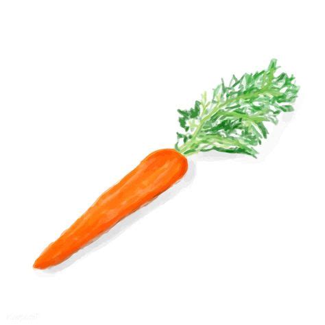 Hand Drawn Carrot Watercolor Style Free Image By Rawpixel Com