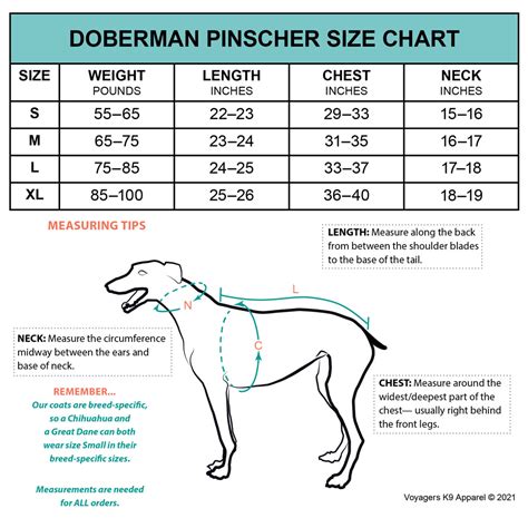 Doberman Weight Chart Ph