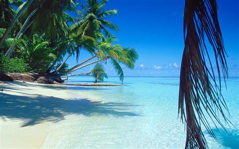 Exotic Beach On Tropical Island Wallpaper Nature And
