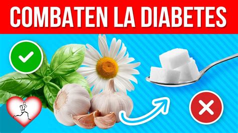 Además, la naturaleza nos ofrece algunas plantas medicinales que pueden frenar su aparición. 15 Plantas y especias que combaten la diabetes mejor que ...